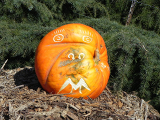 Monkey, Nipomo Pumpkin Patch best carving idea